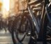 Alquiler de bicicletas oxygenbike almería